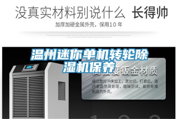 温州迷你单机转轮除湿机保养