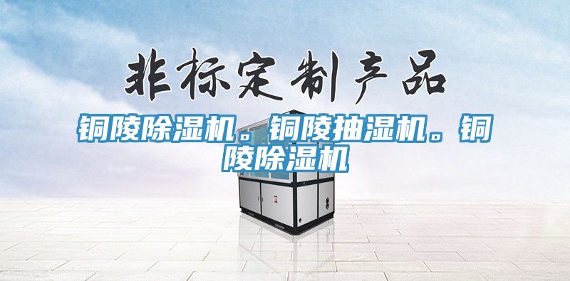 铜陵除湿机。铜陵抽湿机。铜陵除湿机