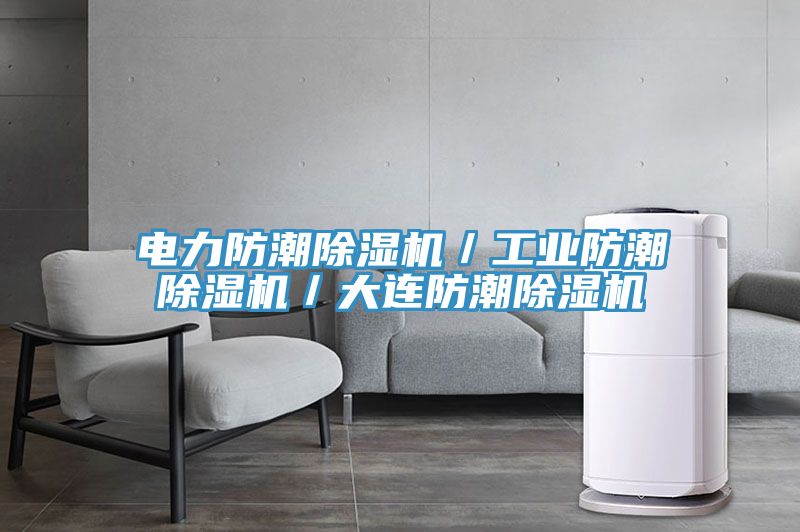 电力防潮除湿机／工业防潮除湿机／大连防潮除湿机