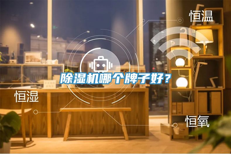 除湿机哪个牌子好？