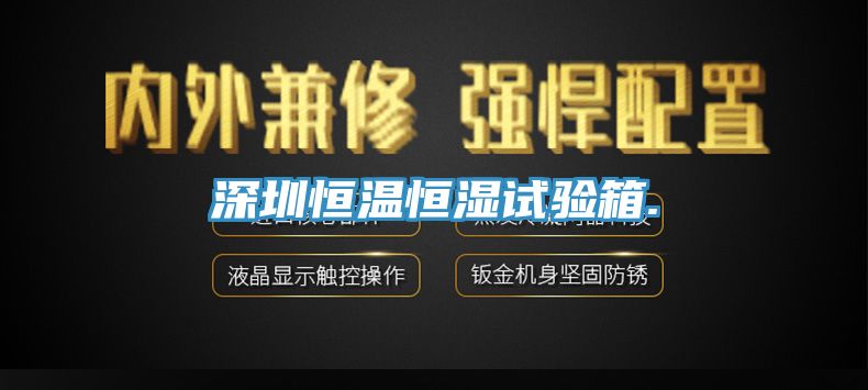 深圳恒温恒湿试验箱.