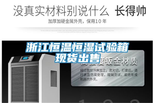 浙江恒温恒湿试验箱现货出售