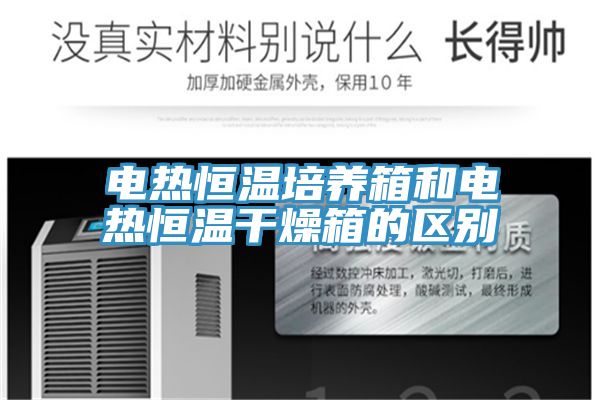 电热恒温培养箱和电热恒温干燥箱的区别