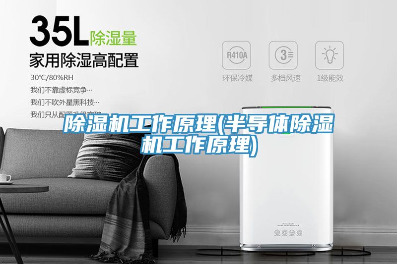 除湿机工作原理(半导体除湿机工作原理)