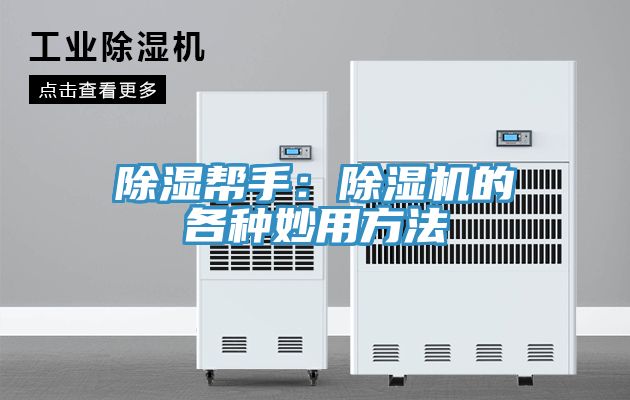除湿帮手：除湿机的各种妙用方法