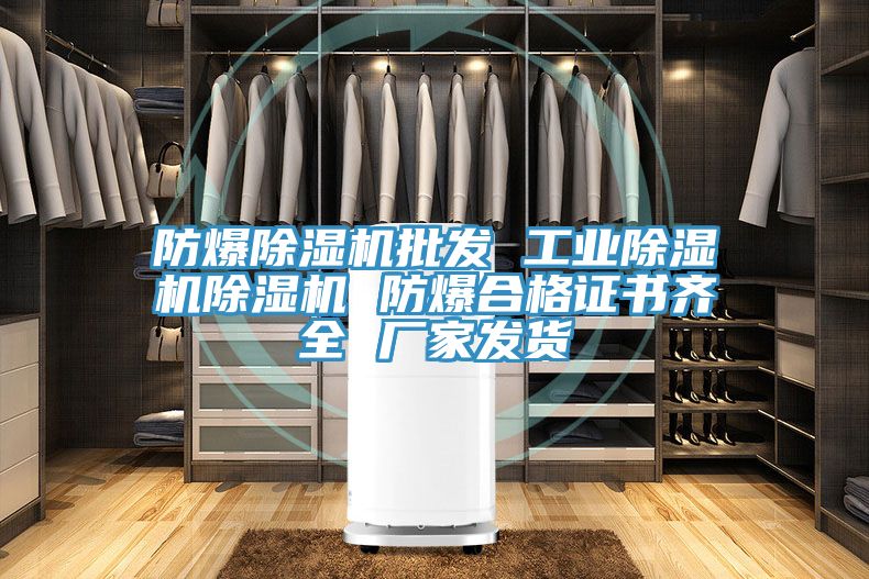 防爆除湿机批发 工业除湿机除湿机 防爆合格证书齐全 厂家发货