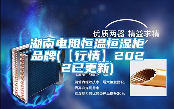 湖南电阻恒温恒湿柜品牌(【行情】2022已更新)