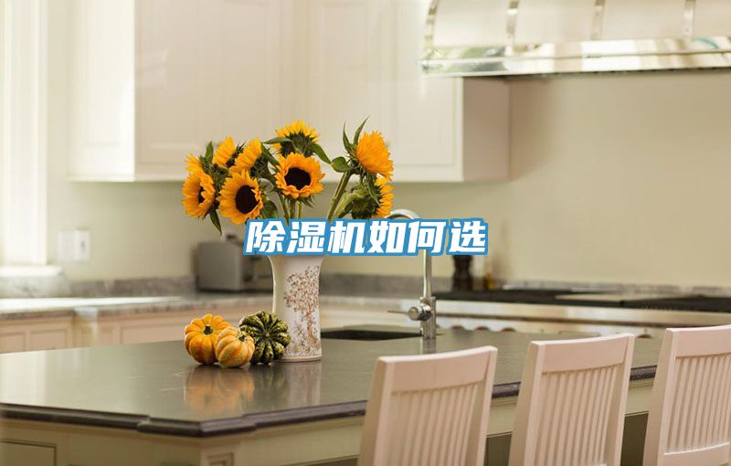 除湿机如何选