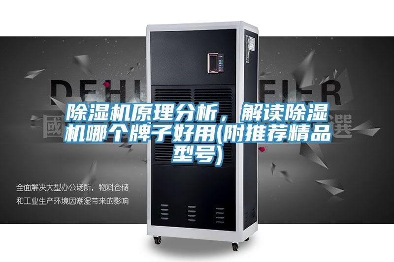 除湿机原理分析，解读除湿机哪个牌子好用(附推荐精品型号)