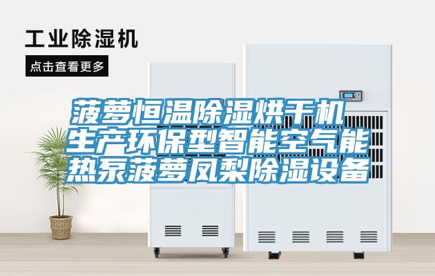 菠萝恒温除湿烘干机 生产环保型智能空气能热泵菠萝凤梨除湿设备