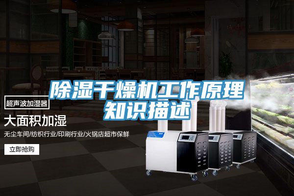除湿干燥机工作原理知识描述