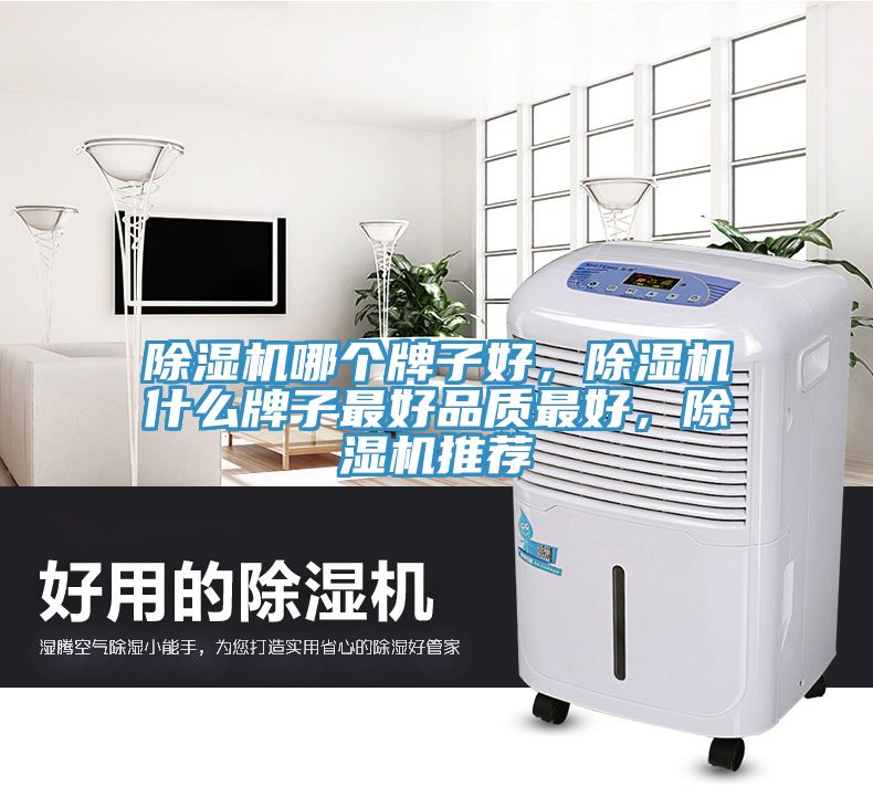 除湿机哪个牌子好，除湿机什么牌子最好品质最好，除湿机推荐