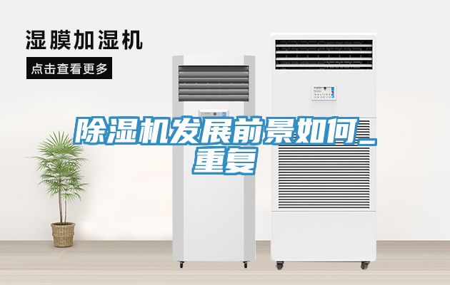 除湿机发展前景如何_重复