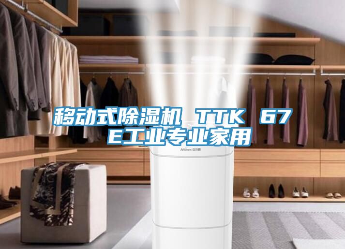 移动式除湿机 TTK 67 E工业专业家用