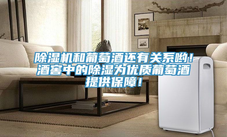 除湿机和葡萄酒还有关系哟！酒窖中的除湿为优质葡萄酒提供保障！