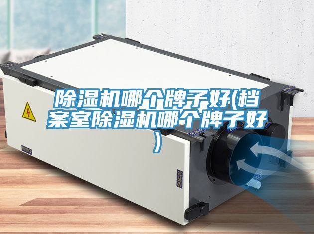 除湿机哪个牌子好(档案室除湿机哪个牌子好)