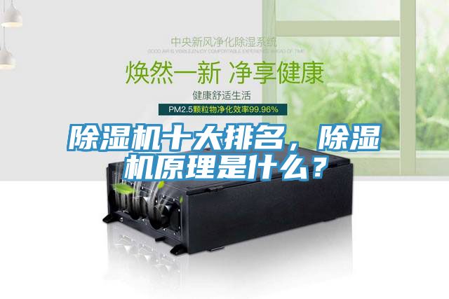 除湿机十大排名，除湿机原理是什么？