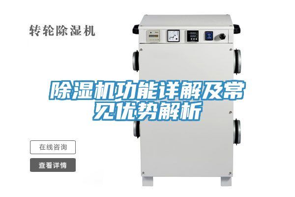 除湿机功能详解及常见优势解析