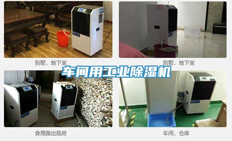 车间用工业除湿机