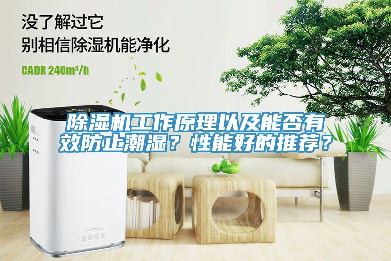 除湿机工作原理以及能否有效防止潮湿？性能好的推荐？