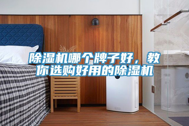除湿机哪个牌子好，教你选购好用的除湿机