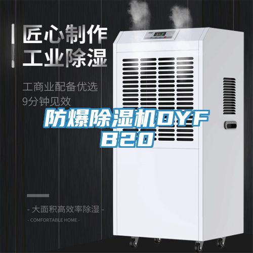 防爆除湿机DYFB20