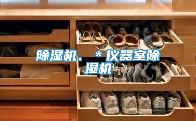 除湿机、＊仪器室除湿机