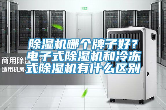 除湿机哪个牌子好？电子式除湿机和冷冻式除湿机有什么区别