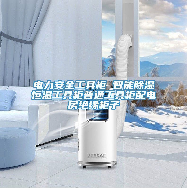 电力安全工具柜 智能除湿恒温工具柜普通工具柜配电房绝缘柜子