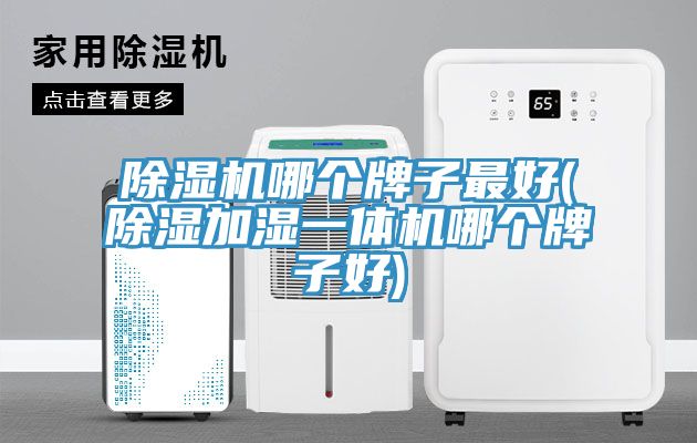 除湿机哪个牌子最好(除湿加湿一体机哪个牌子好)