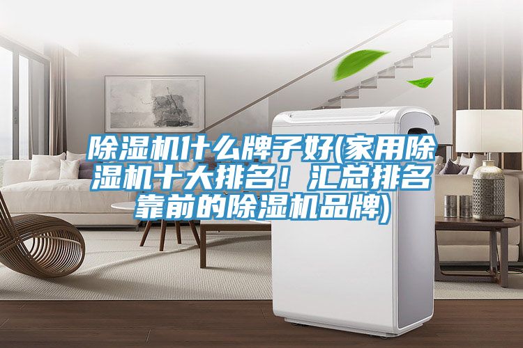 除湿机什么牌子好(家用除湿机十大排名！汇总排名靠前的除湿机品牌)