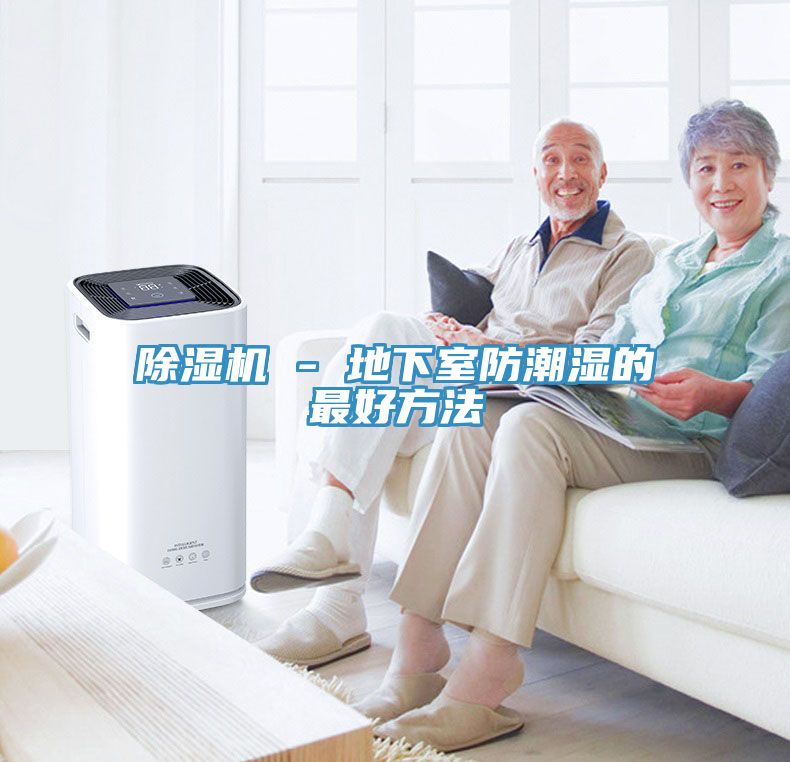 除湿机 - 地下室防潮湿的最好方法