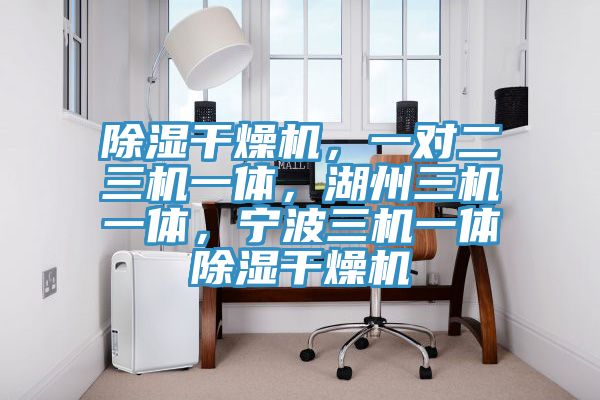除湿干燥机，一对二三机一体，湖州三机一体，宁波三机一体除湿干燥机