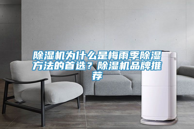 除湿机为什么是梅雨季除湿方法的首选？除湿机品牌推荐
