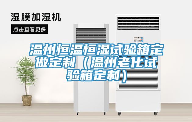 温州恒温恒湿试验箱定做定制（温州老化试验箱定制）