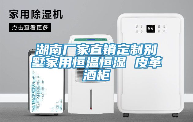 湖南厂家直销定制别墅家用恒温恒湿 皮革酒柜