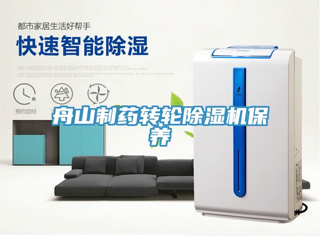 舟山制药转轮除湿机保养