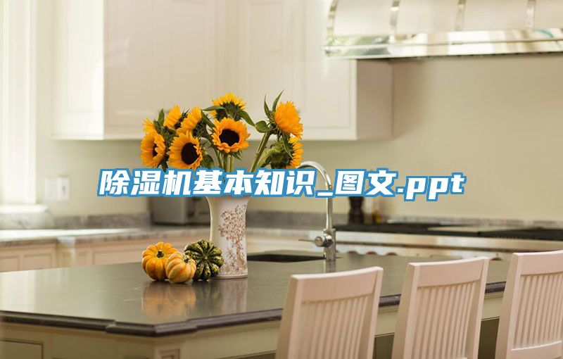 除湿机基本知识_图文.ppt