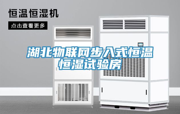 湖北物联网步入式恒温恒湿试验房