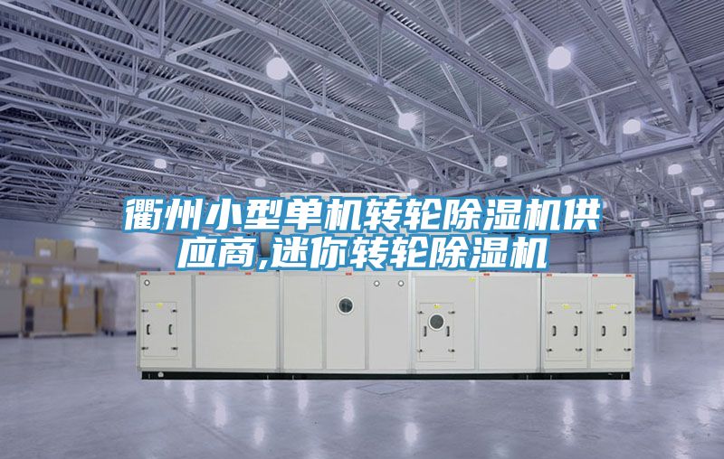 衢州小型单机转轮除湿机供应商,迷你转轮除湿机