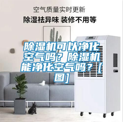 除湿机可以净化空气吗？除湿机能净化空气吗？[图]