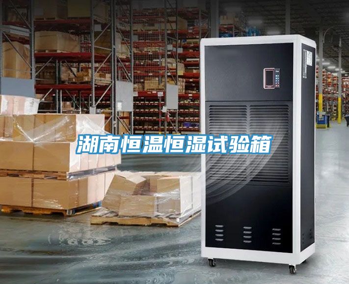 湖南恒温恒湿试验箱
