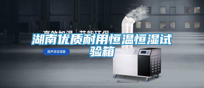 湖南优质耐用恒温恒湿试验箱