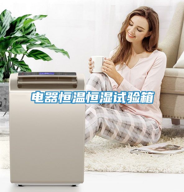 电器恒温恒湿试验箱