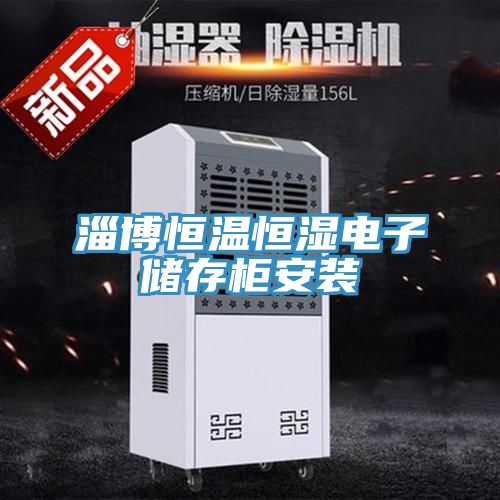 淄博恒温恒湿电子储存柜安装