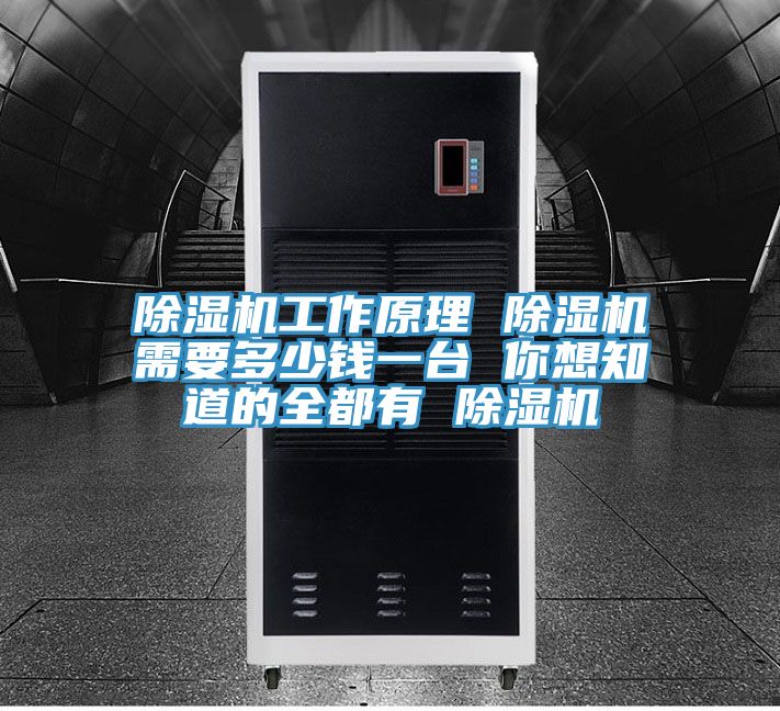 除湿机工作原理 除湿机需要多少钱一台 你想知道的全都有 除湿机