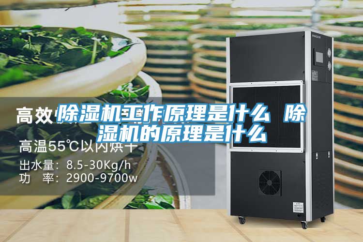 除湿机工作原理是什么 除湿机的原理是什么