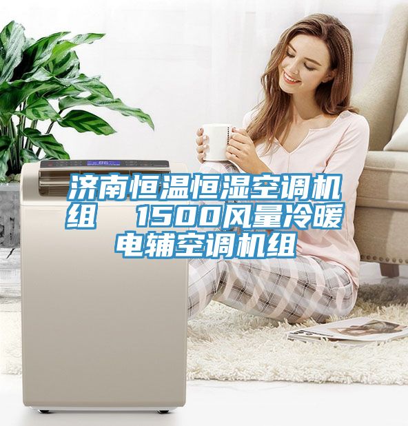 济南恒温恒湿空调机组  1500风量冷暖电辅空调机组
