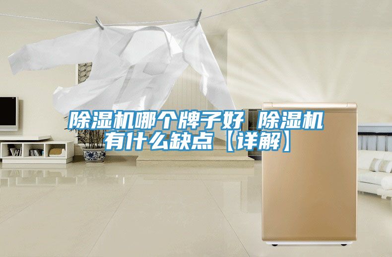 除湿机哪个牌子好 除湿机有什么缺点【详解】