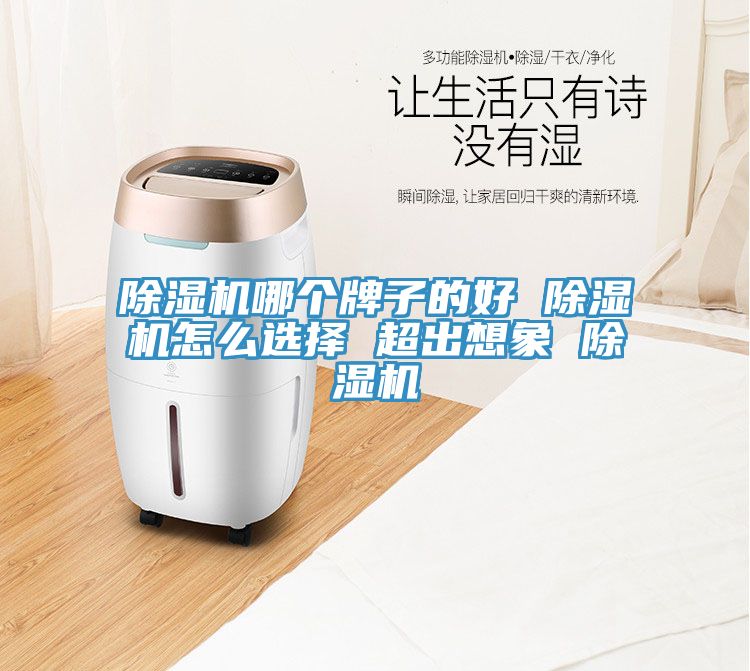 除湿机哪个牌子的好 除湿机怎么选择 超出想象 除湿机